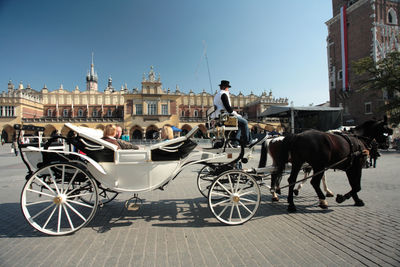 Horse cart in city against clear sky