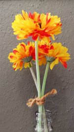 Close-up of orange flower in vase against wall