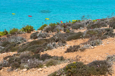 The blue lagoon, comino island, malta