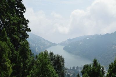 Scenic view of trees and mountains against sky