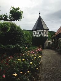 View of plants against cloudy sky