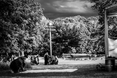 People relaxing on street against trees