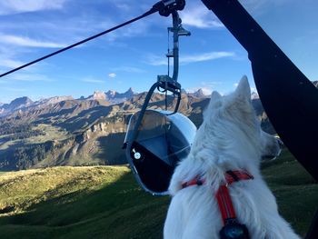 View of horse cart on mountain against sky