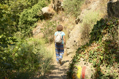 Rear view of man walking in forest