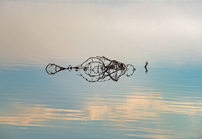 Fishing net on lake against sky during sunset