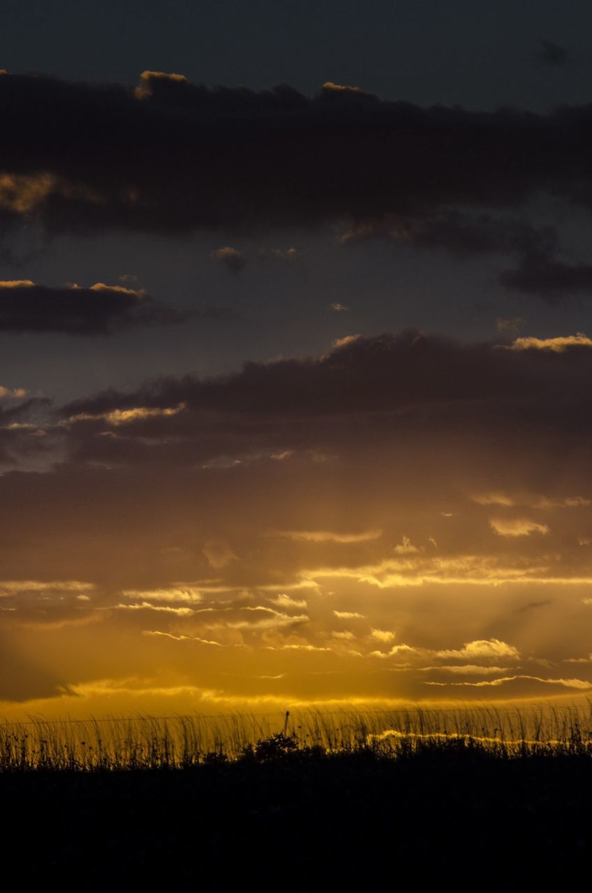 sunset, tranquil scene, tranquility, scenics, landscape, beauty in nature, sky, silhouette, field, nature, idyllic, orange color, rural scene, agriculture, cloud - sky, horizon over land, cloud, outdoors, farm, no people