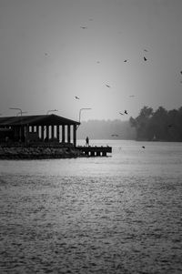 Silhouette birds flying over river against clear sky