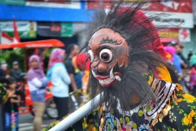 Close-up of rooster