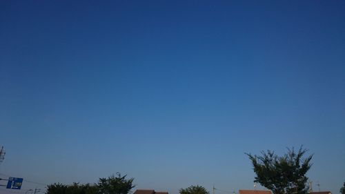 Low angle view of silhouette trees against clear blue sky