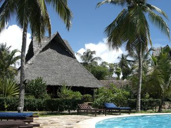 Palm trees by swimming pool against sky