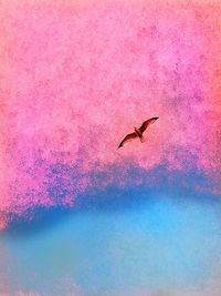 Bird flying over pink water