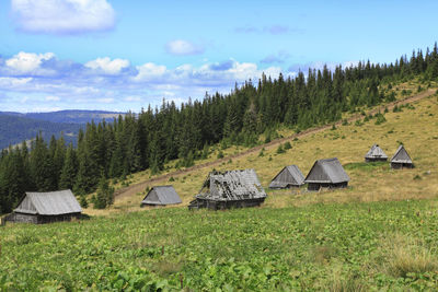 Houses on grassy field against sky