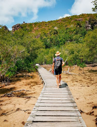 Young man exploring nature, walking on wooden boardwalk in mangrove swamp.
