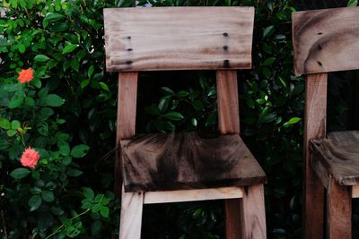 Wooden chairs by rose plant in back yard