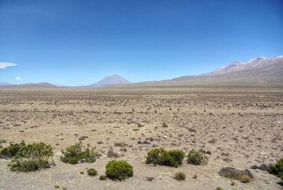 Scenic view of desert against blue sky