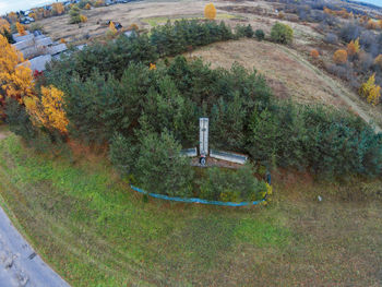 High angle view of green grass