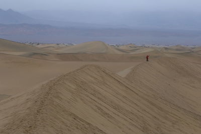 Sand dunes early morning 