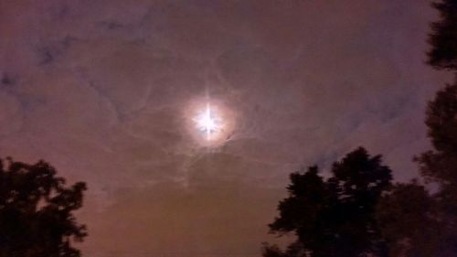 Low angle view of trees against cloudy sky