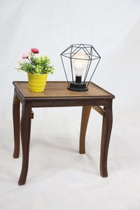 Potted plant on table