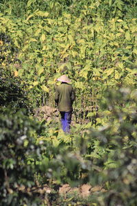 Rear view of man walking on field