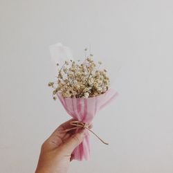 Close-up of hand holding flower against white background