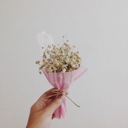 Cropped hand holding flowers against white background