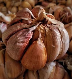 Close-up of garlic