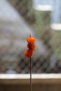 This food is called cimin, one of the foods in the city of bandung, indonesia