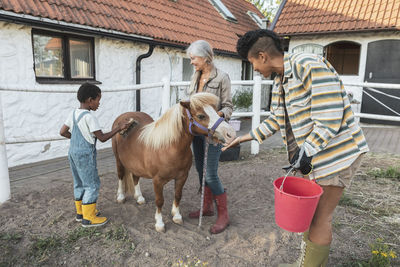 Woman feeding while son and grandmother brushing pony at farm