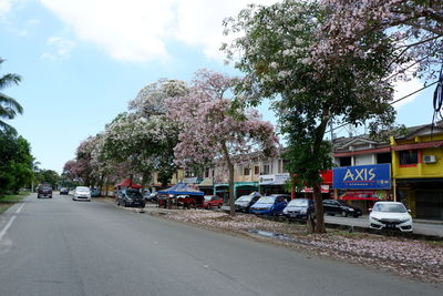 Cars on road by trees against sky in city