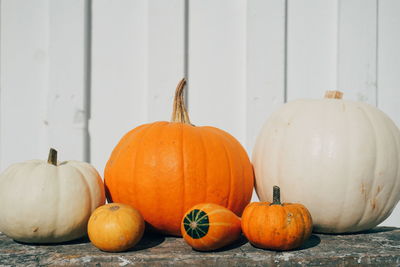 Pumpkins on table against white wall