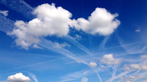 Low angle view of trees against blue sky