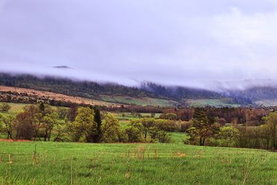 Scenic view of landscape against sky