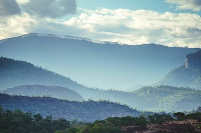 Trees on mountain against cloudy sky