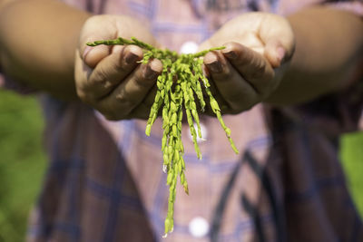 Close-up of hand holding leaf