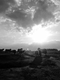 Cows grazing on landscape against sky