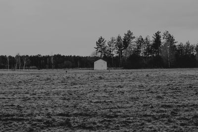 Trees on field against clear sky