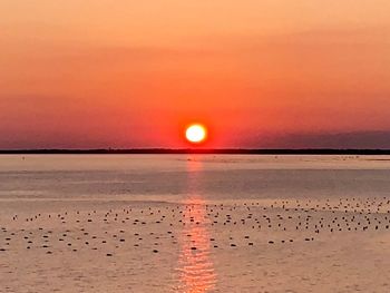 Scenic view of sea against orange sky
