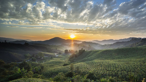 Scenic view of field against sky during sunset