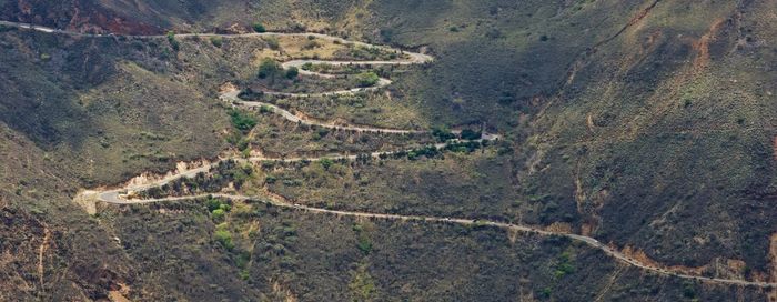 High angle view of road amidst trees in forest