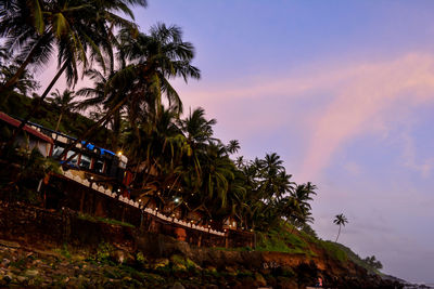 Low angle view of palm trees against cloudy sky