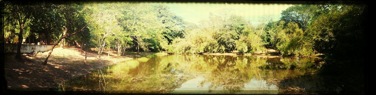 water, transfer print, tree, reflection, tranquil scene, tranquility, lake, scenics, auto post production filter, beauty in nature, waterfront, nature, river, growth, idyllic, sky, forest, calm, outdoors, day