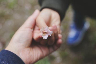 Cropped hand of person holding child hand with flower