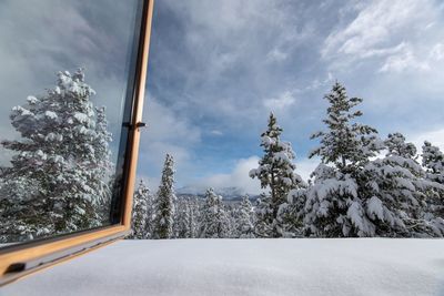 Trees on snow covered field against sky