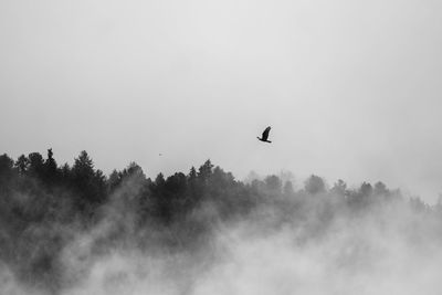 Low angle view of airplane flying against sky