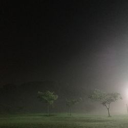 Scenic view of grassy field against sky