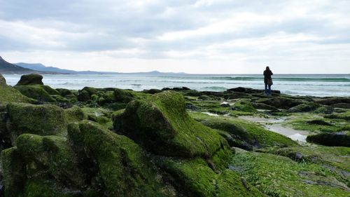 Man standing on rock by sea against sky