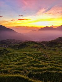 Scenic view of agricultural field against sky during sunset
