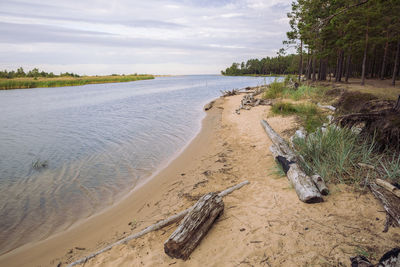 Scenic view of beach against sky