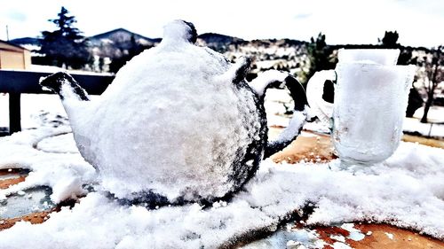 Close-up of snow covered field